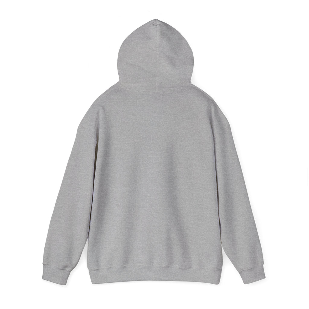 Hoodie « Game Over ? Pas encore. »