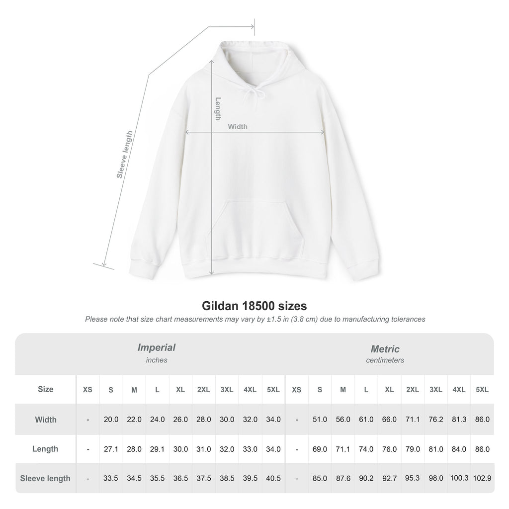 Hoodie « Game Over ? Pas encore. »