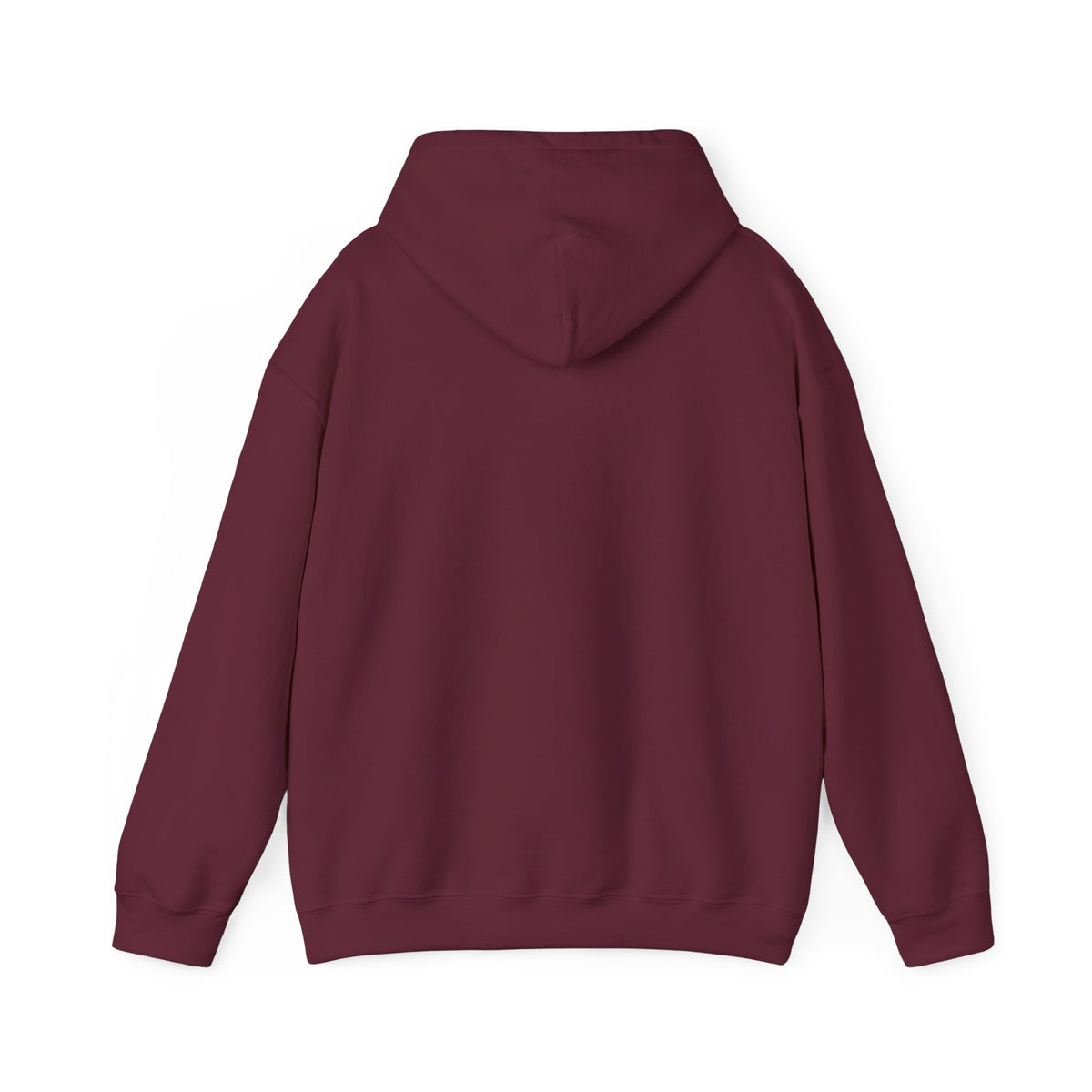 Hoodie « J'y étais : c'était les ténèbres »